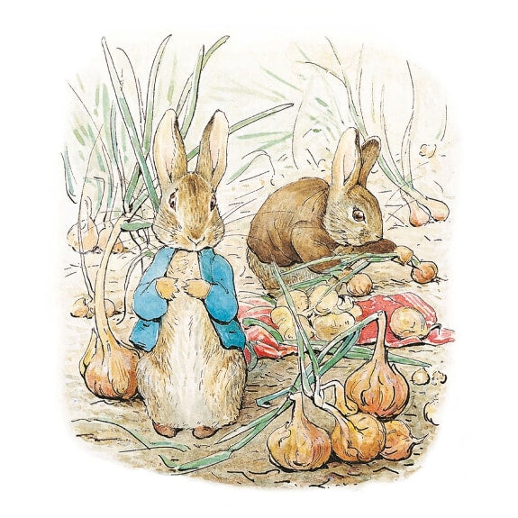 Peter Rabbit and Benjamin Bunny Greeting Card