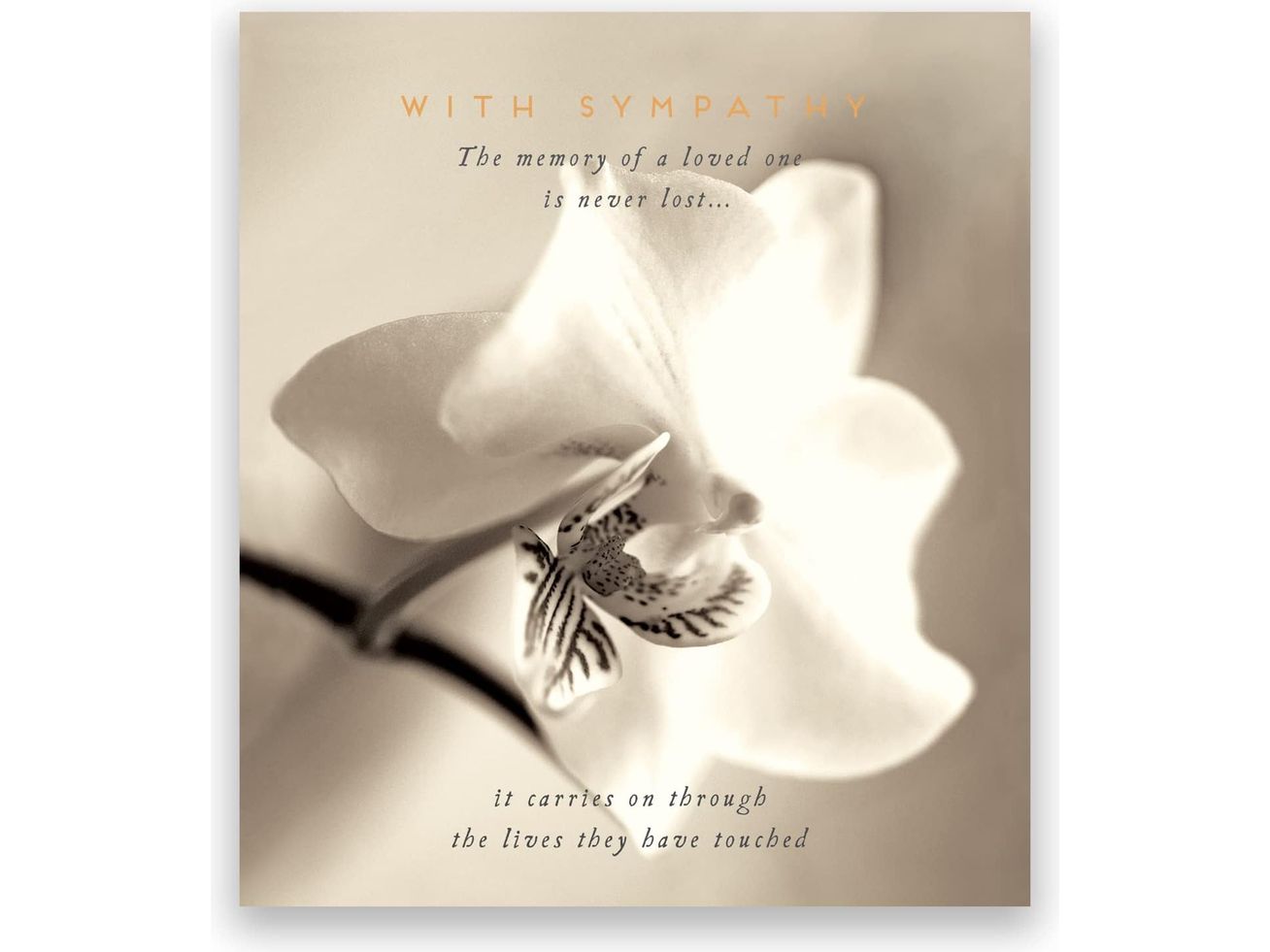 With Sympathy Card image 0