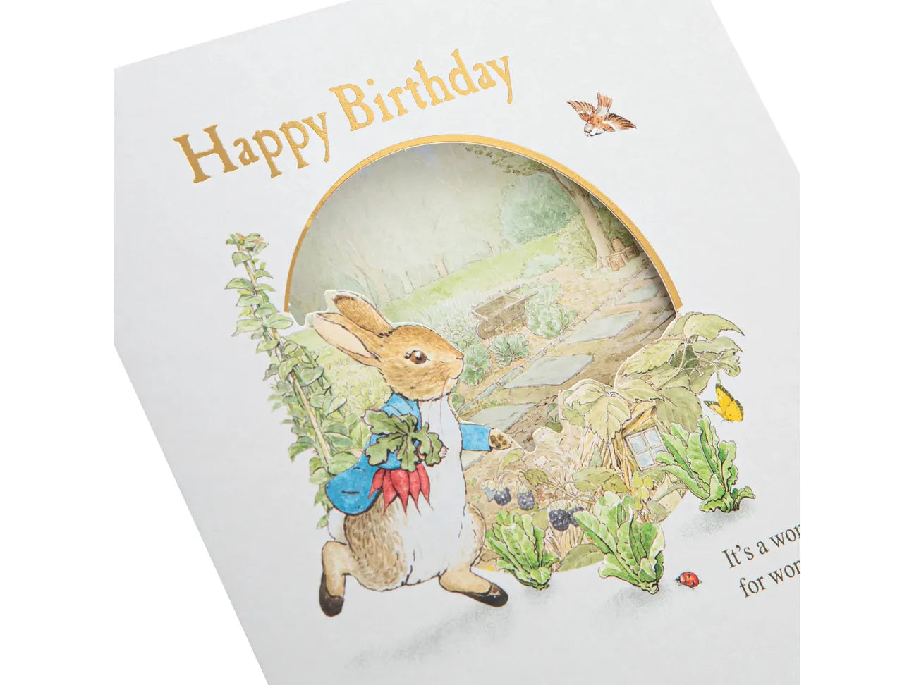 Childs Birthday Card - Beatrix Potter Peter Rabbit Design image 1