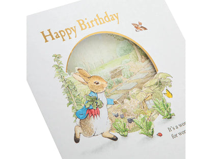 Childs Birthday Card - Beatrix Potter Peter Rabbit Design image 1