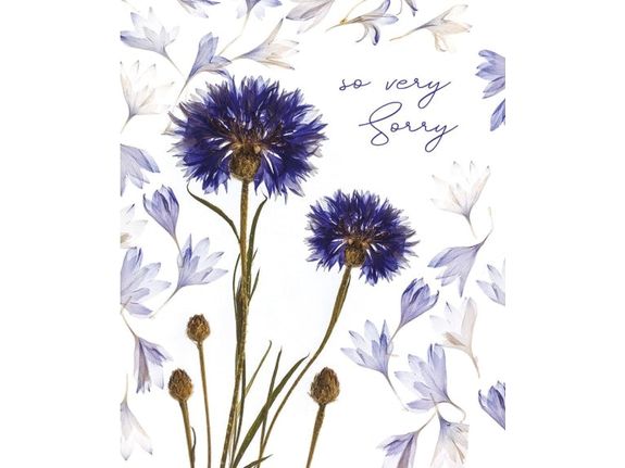 So Very Sorry Cornflower Card