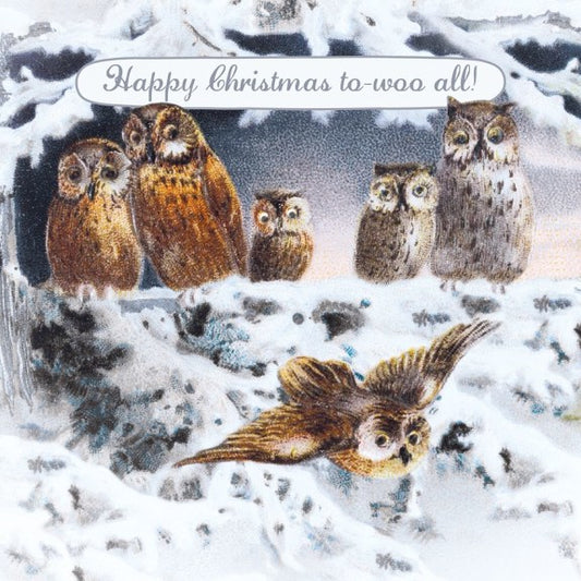 Happy Christmas To-Woo All! Owl Christmas Card
