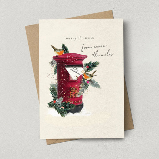 Across The Miles Robin Letterbox