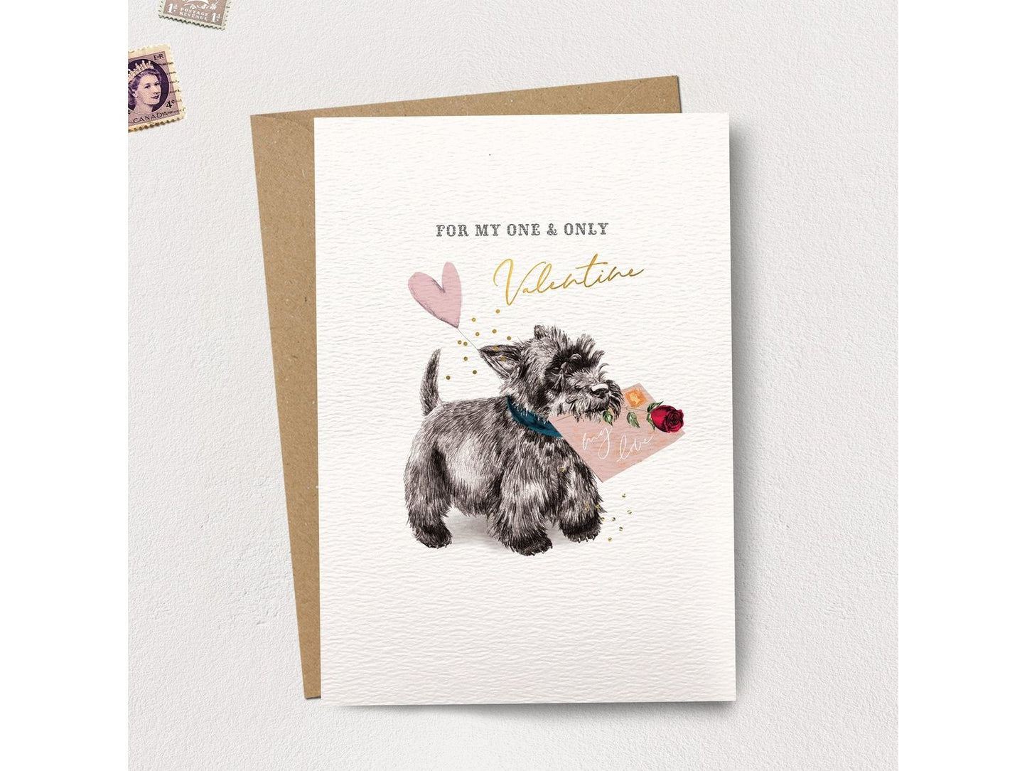 Dog Valentine's Letter Greeting Card