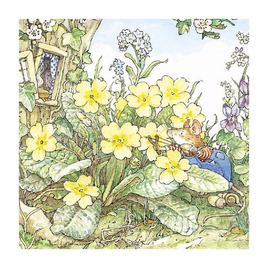 Brambly Hedge Acorn Ambush