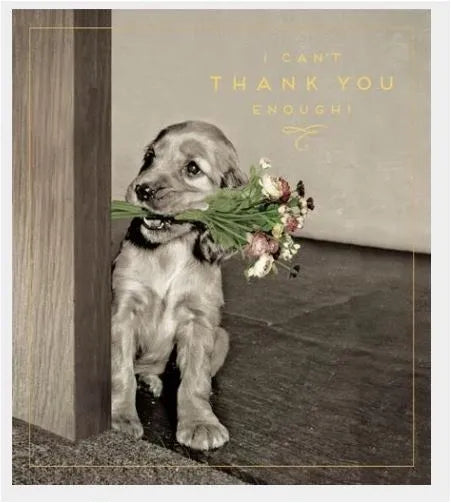 I can't Thank You enough greeting card image 0