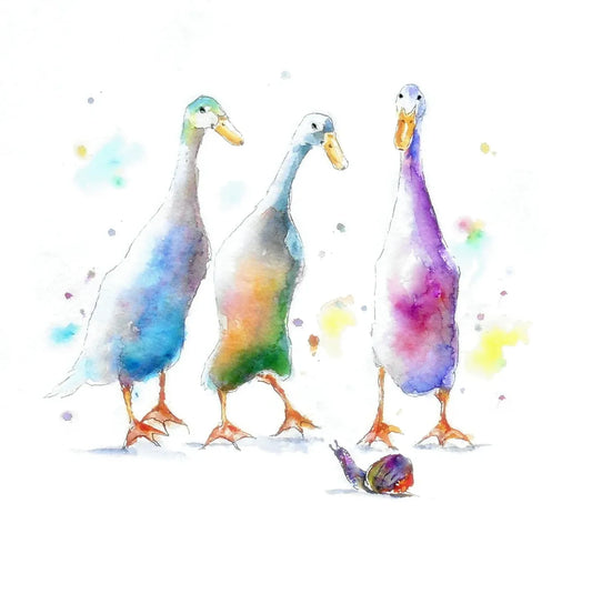 Luxury Indian Runner Ducks meet a snail Greeting Card image 0