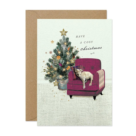 Have A Cosy Christmas