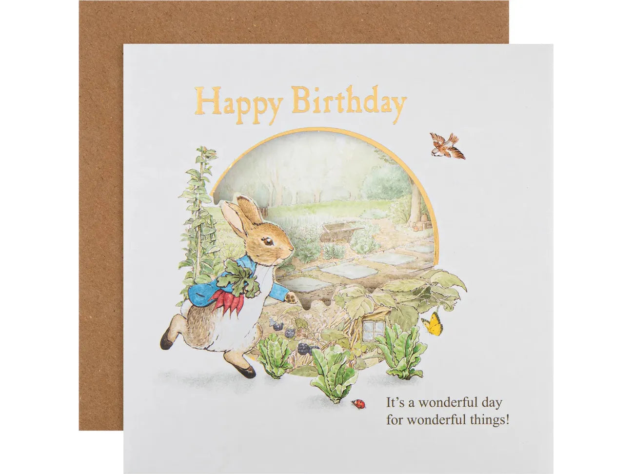 Childs Birthday Card - Beatrix Potter Peter Rabbit Design image 0