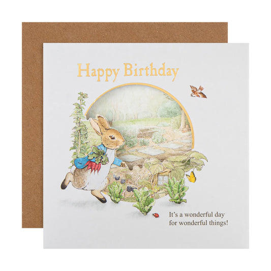 Childs Birthday Card - Beatrix Potter Peter Rabbit Design image 0