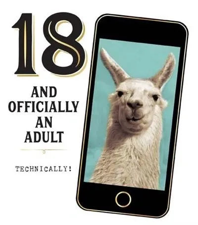 18 Llama Officially An Adult......Technically! image 0