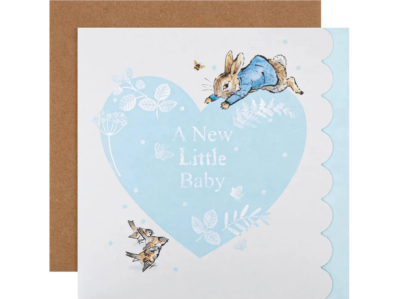 A New Little Boy Beatrix Potter Card image 0