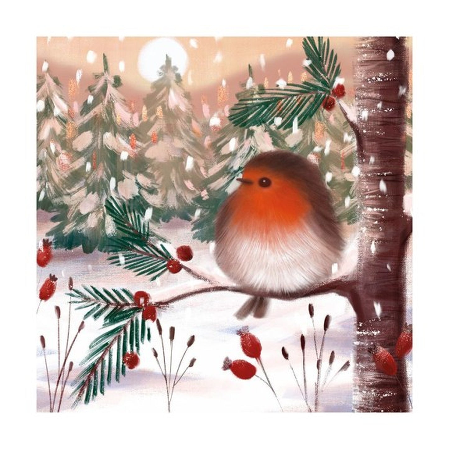 Fluffy Winter Robin Christmas Card