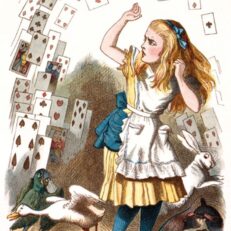 Alice and the shower of cards