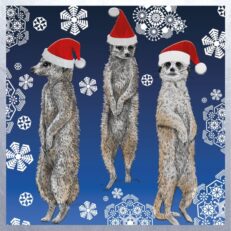 Meercats Christmas Card