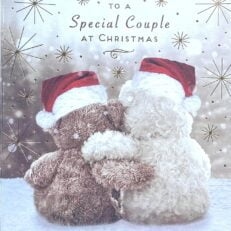 To A Special Couple At Christmas