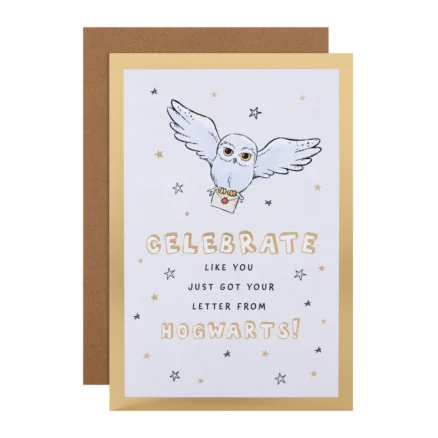 Hogwarts Owl Card